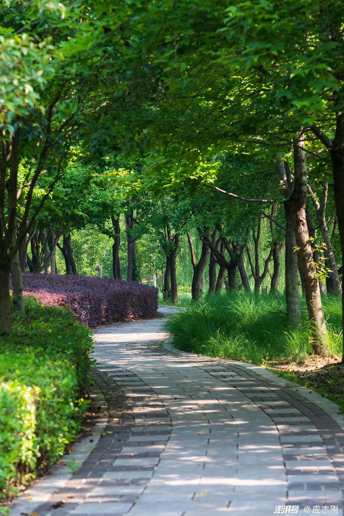 夏天风景图野外图片