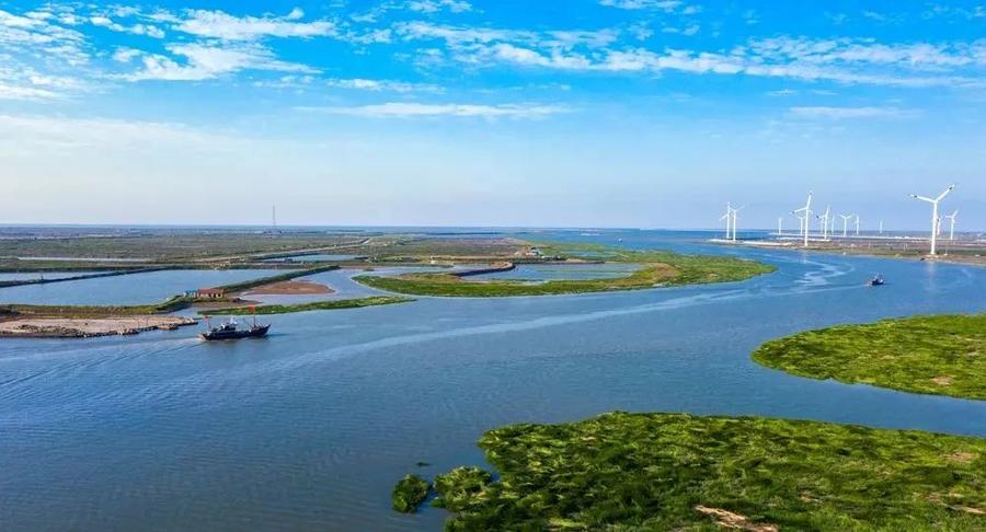 潍坊的海,原来这么美!