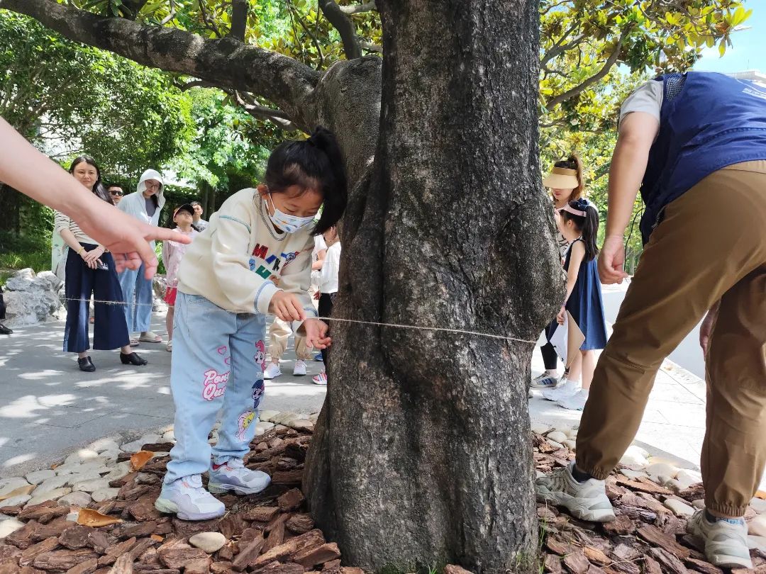 六五环境日前,小朋友们齐聚和平公园为"大树王"测"呼吸"