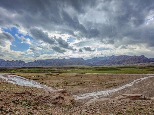 棋盘井镇半年降水123.3毫米,创近十年同期最高!