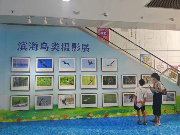 今日启用!来湛江首个海洋生物多样性文创基地撒欢