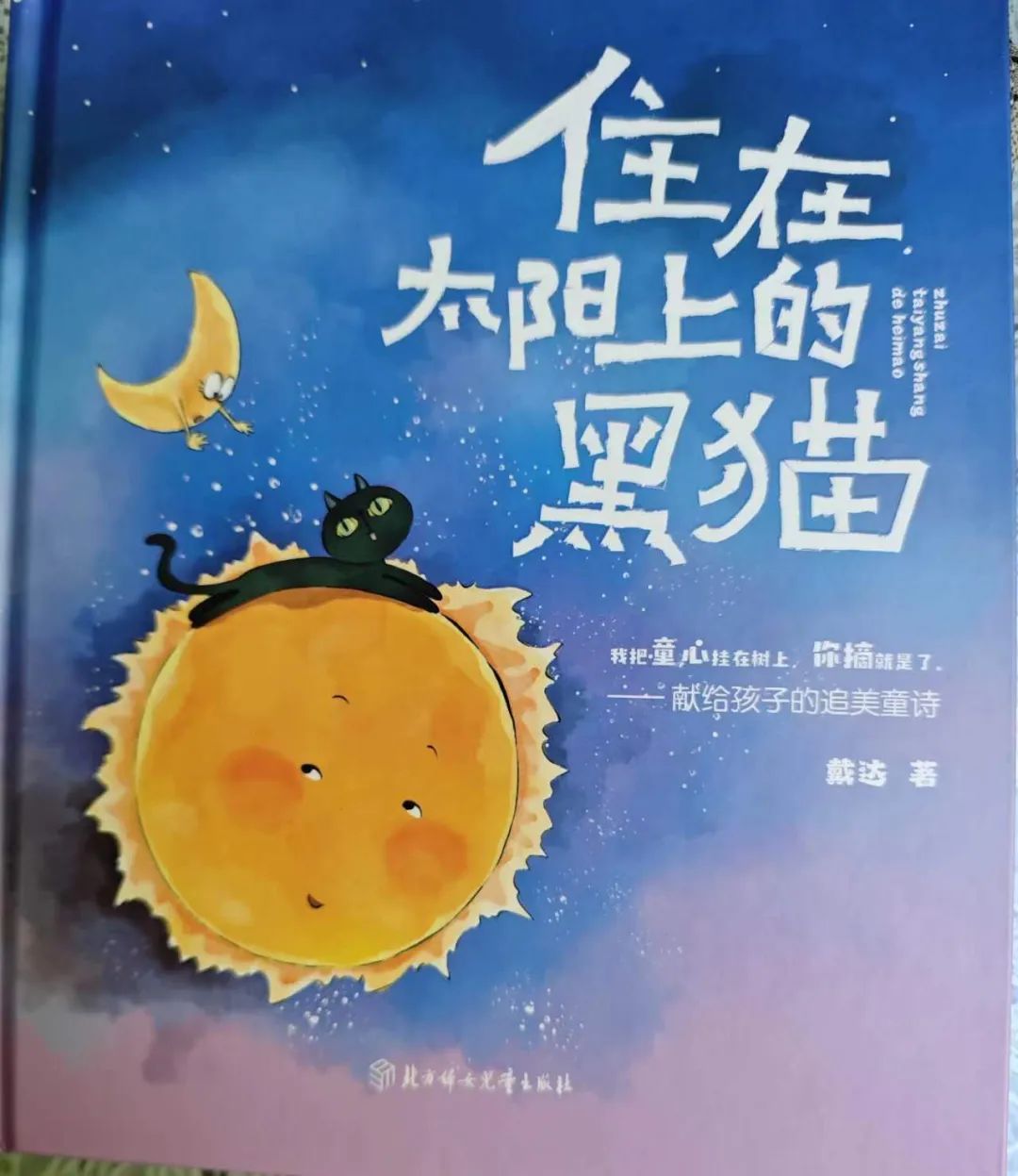 汇龙潭丨住在太阳上的黑猫