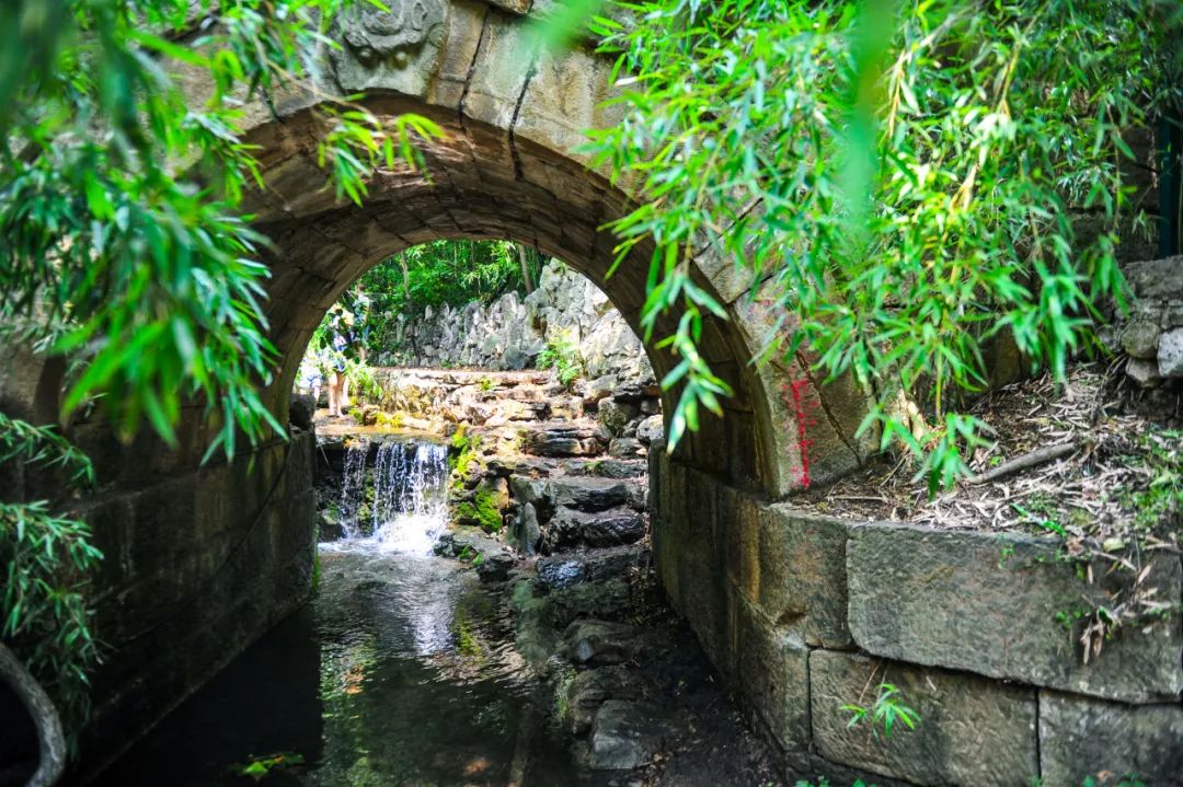 涌泉竹林四门塔风景区内,还有一处隐秘的森林公园—— 涌泉竹林风景区