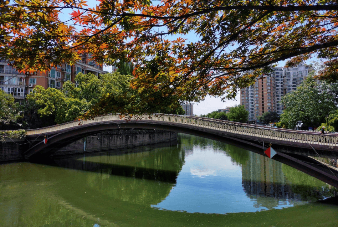 【历史文化】瞧桥青羊 骨子里的中式浪漫‖李小斌