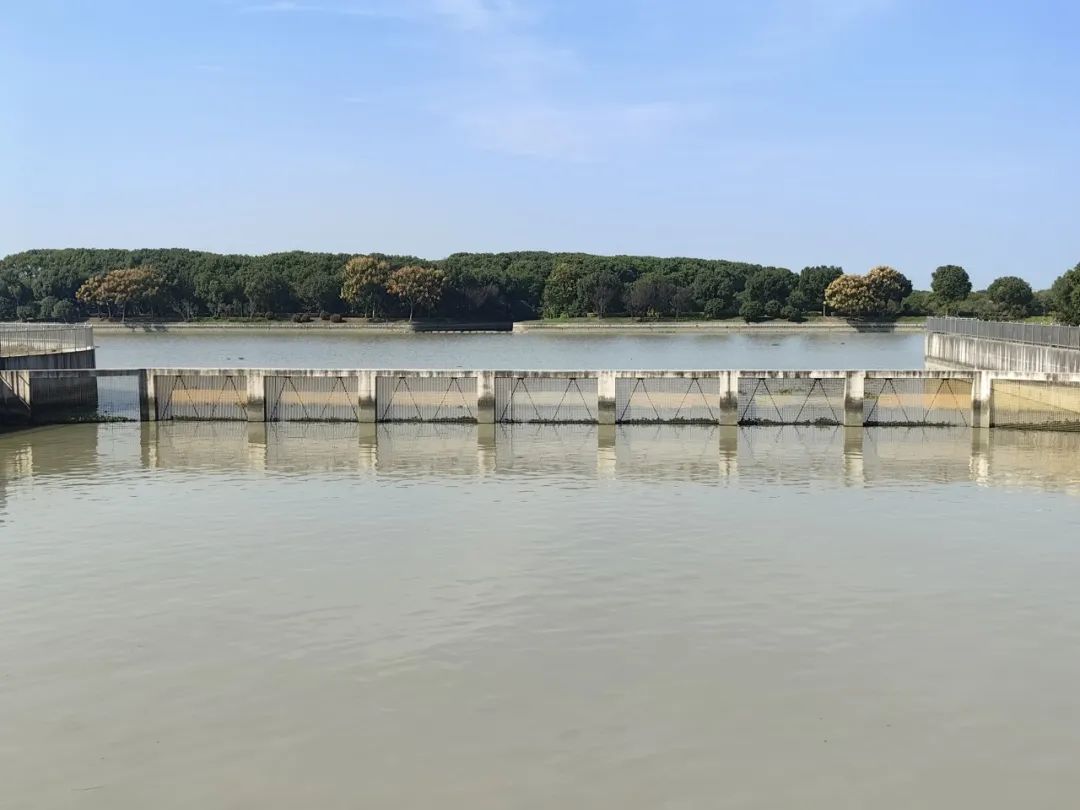 松江:水闸赋能之路——五厍港泵闸