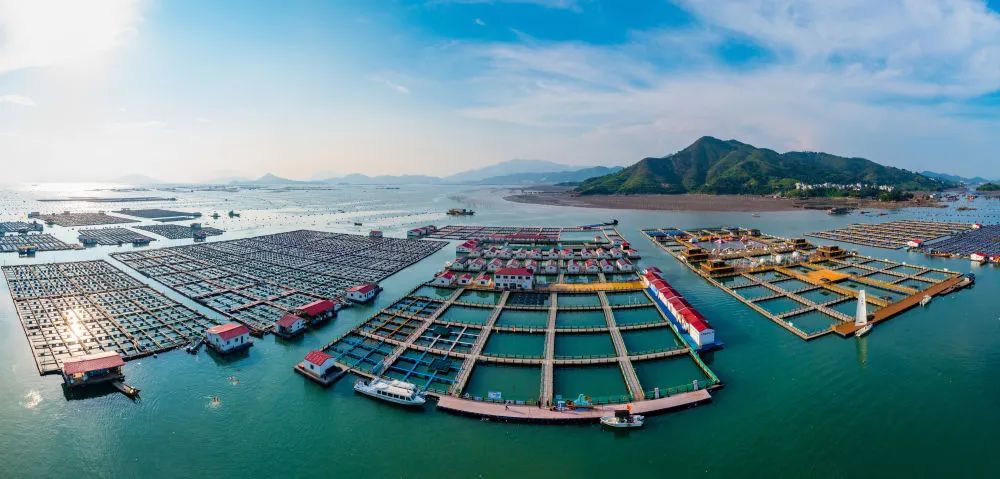 新华社聚焦!来看这片海