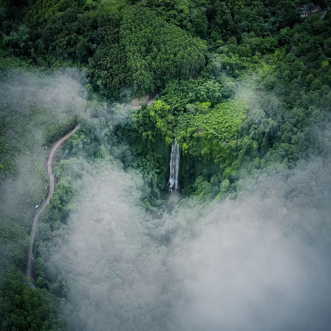 属于肇庆人的阿勒泰,你心动了吗?