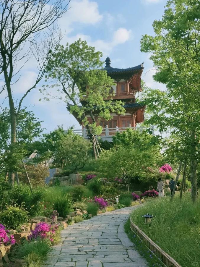 染秋洲湿地公园,心留阁,鸥鹭台,听雨廊,瀑布,还有大片的粉黛和草坪