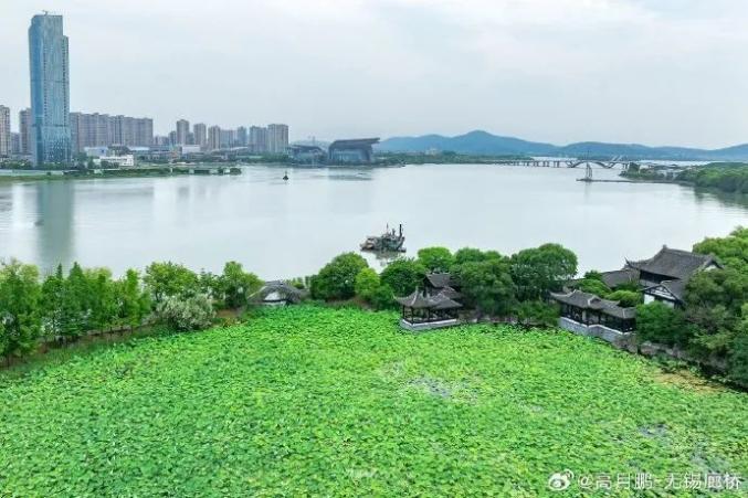 染秋洲湿地公园,心留阁,鸥鹭台,听雨廊,瀑布,还有大片的粉黛和草坪