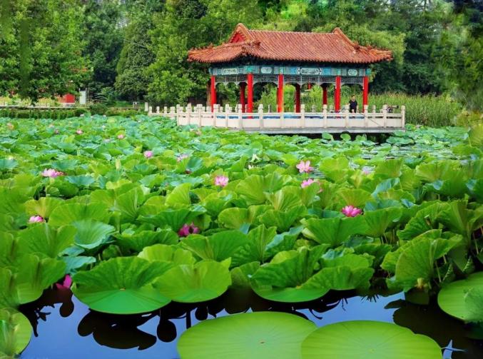 湖13镇洑溪涧桥根据最新天气预报这几日我市气温将会逐步上升天热了