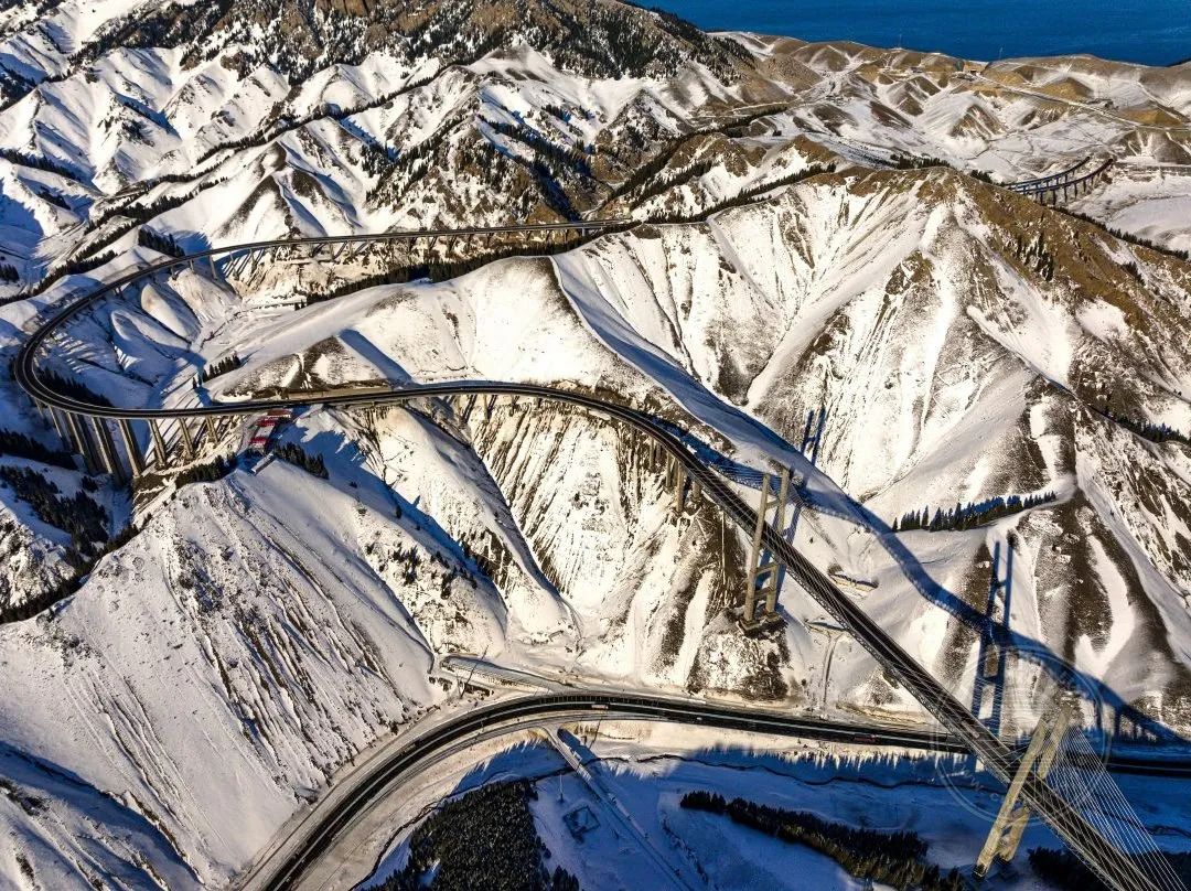 《龙的传人》08徐坤星(浙江湖州)拍