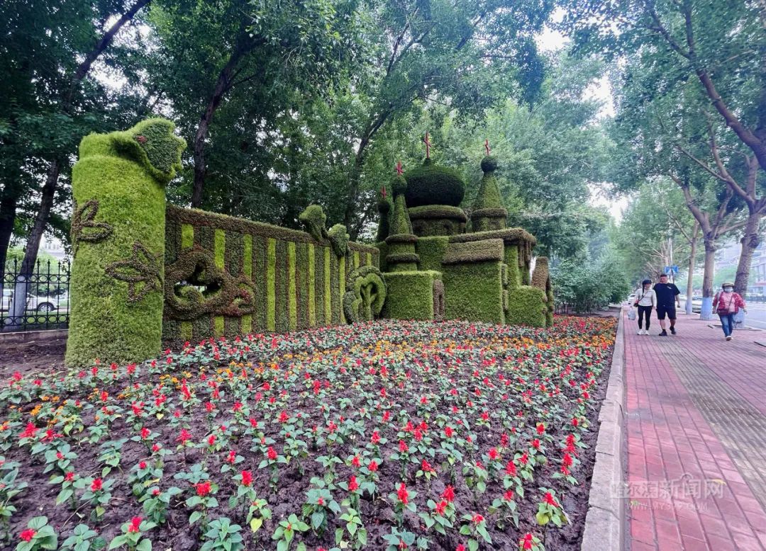 五色草立体景观扮靓夏日冰城