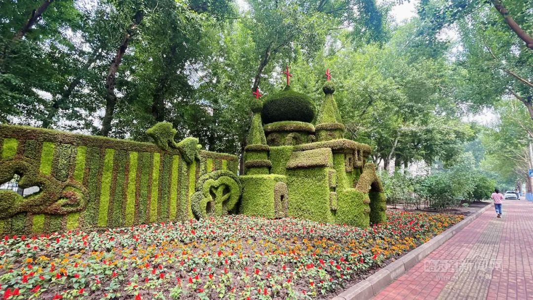 五色草立体景观扮靓夏日冰城