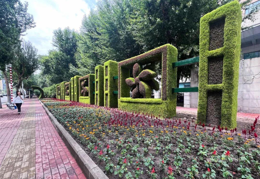 五色草立体景观扮靓夏日冰城