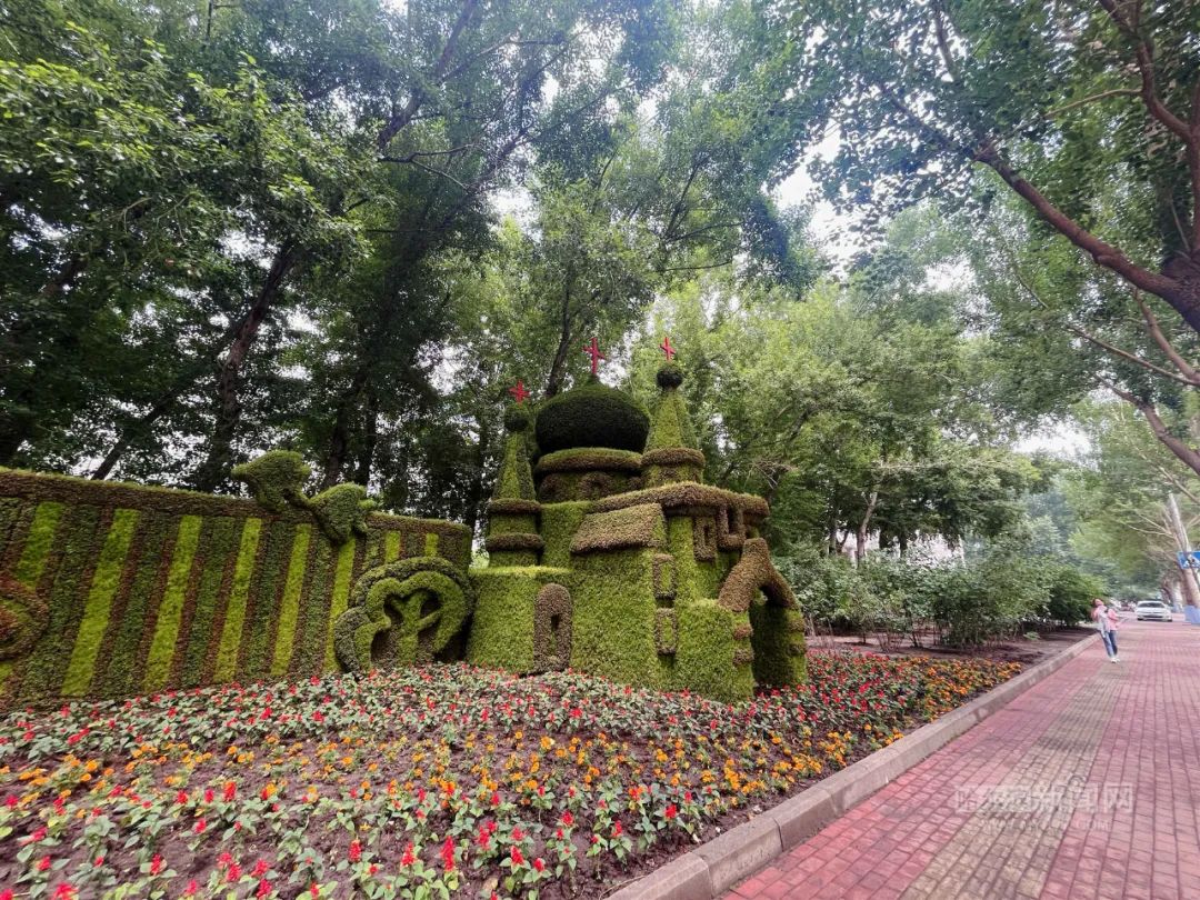 五色草立体景观扮靓夏日冰城