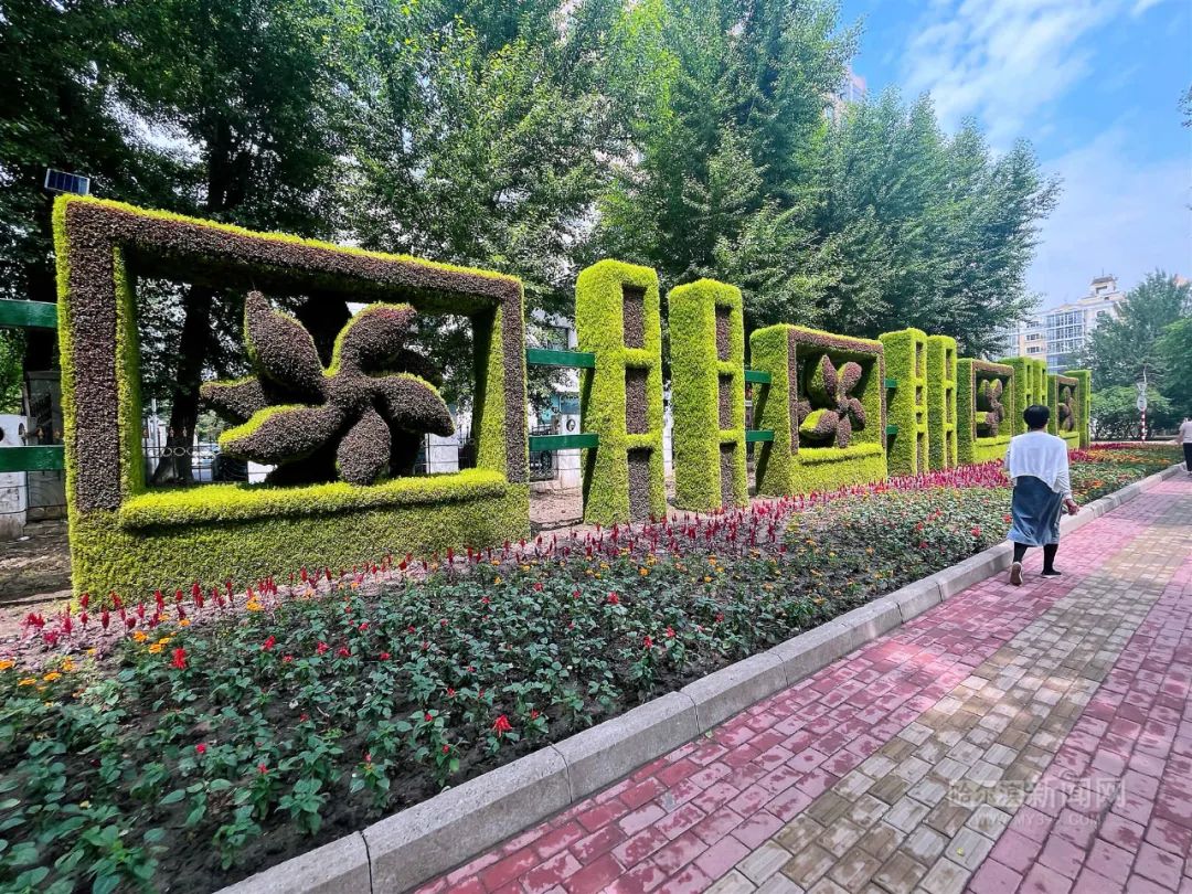 五色草立体景观扮靓夏日冰城