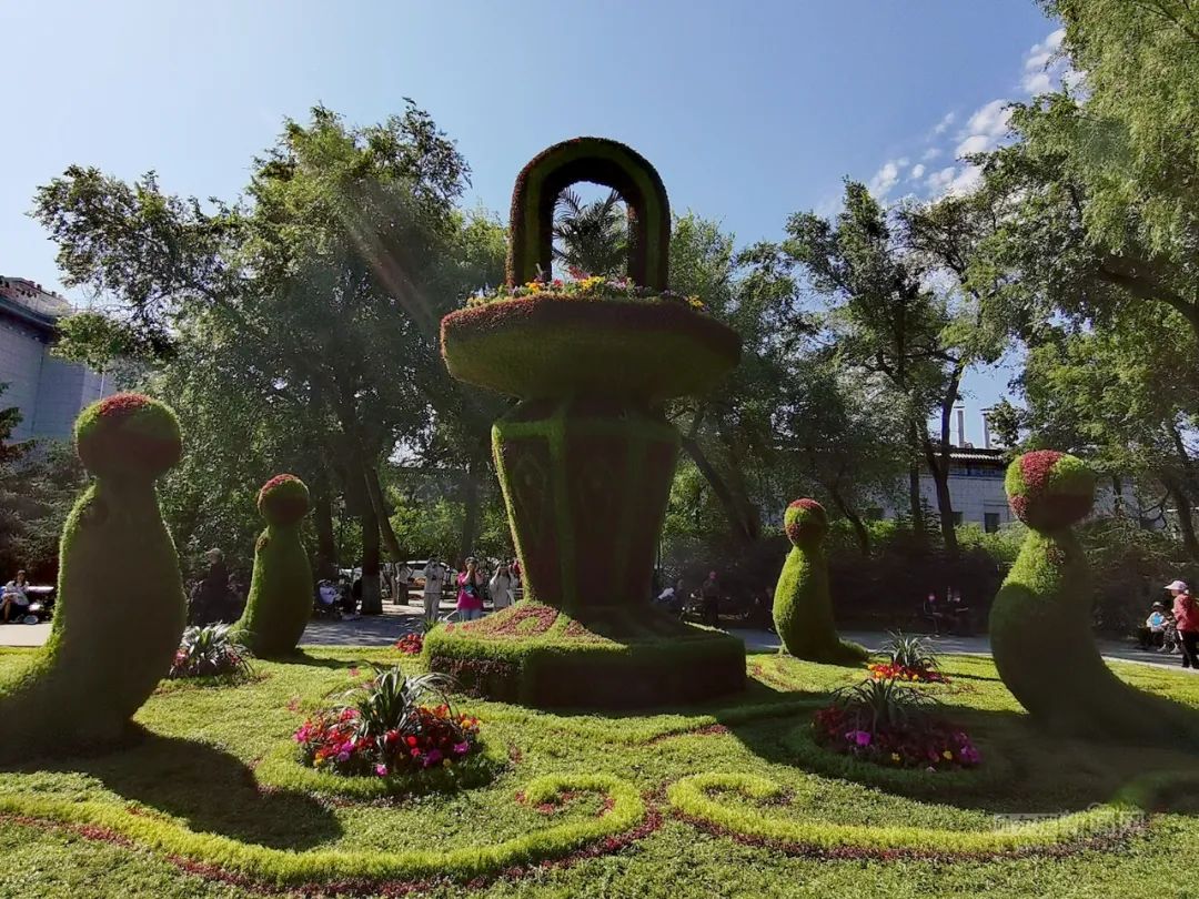 五色草立体景观扮靓夏日冰城