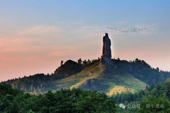 崀山向青年学子送"大礼",推出中,高考学生免费游,大学