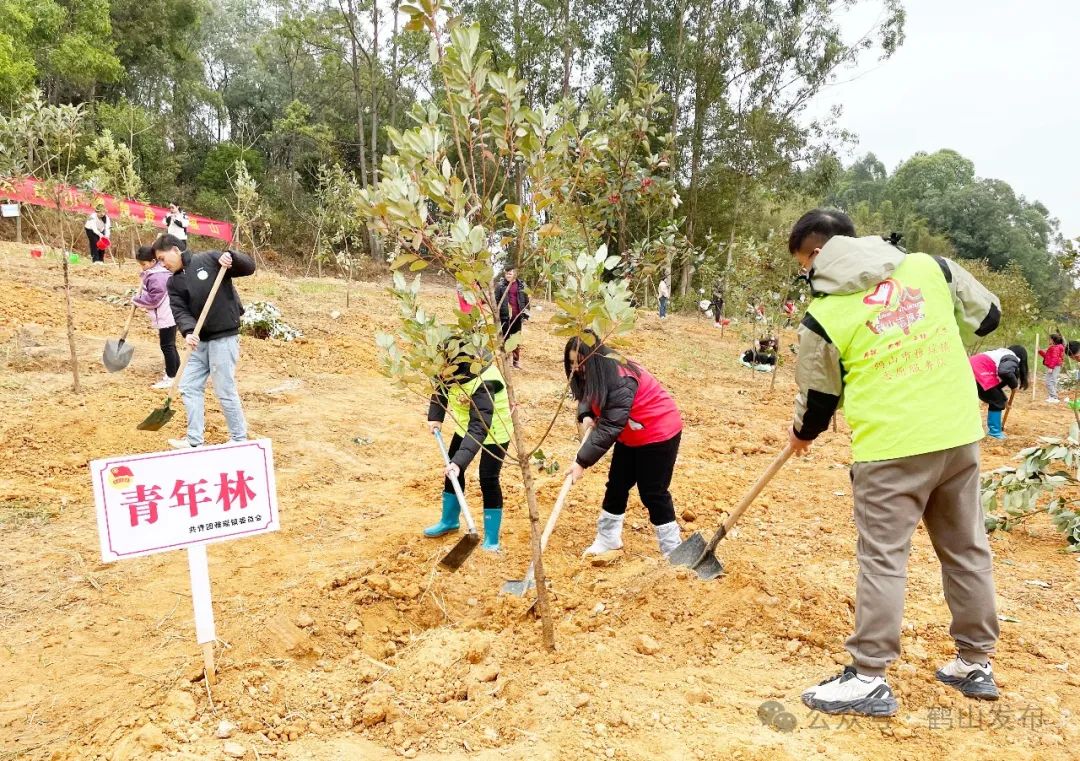 鹤山这个村,你打卡了么?