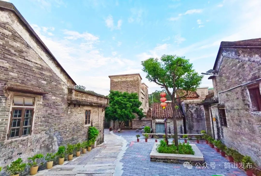 鹤山这个村,你打卡了么?