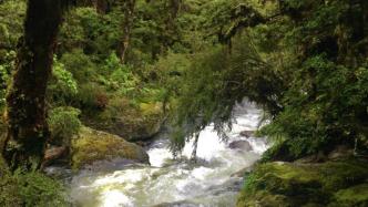 溯溪之前，先看看這篇保命秘籍