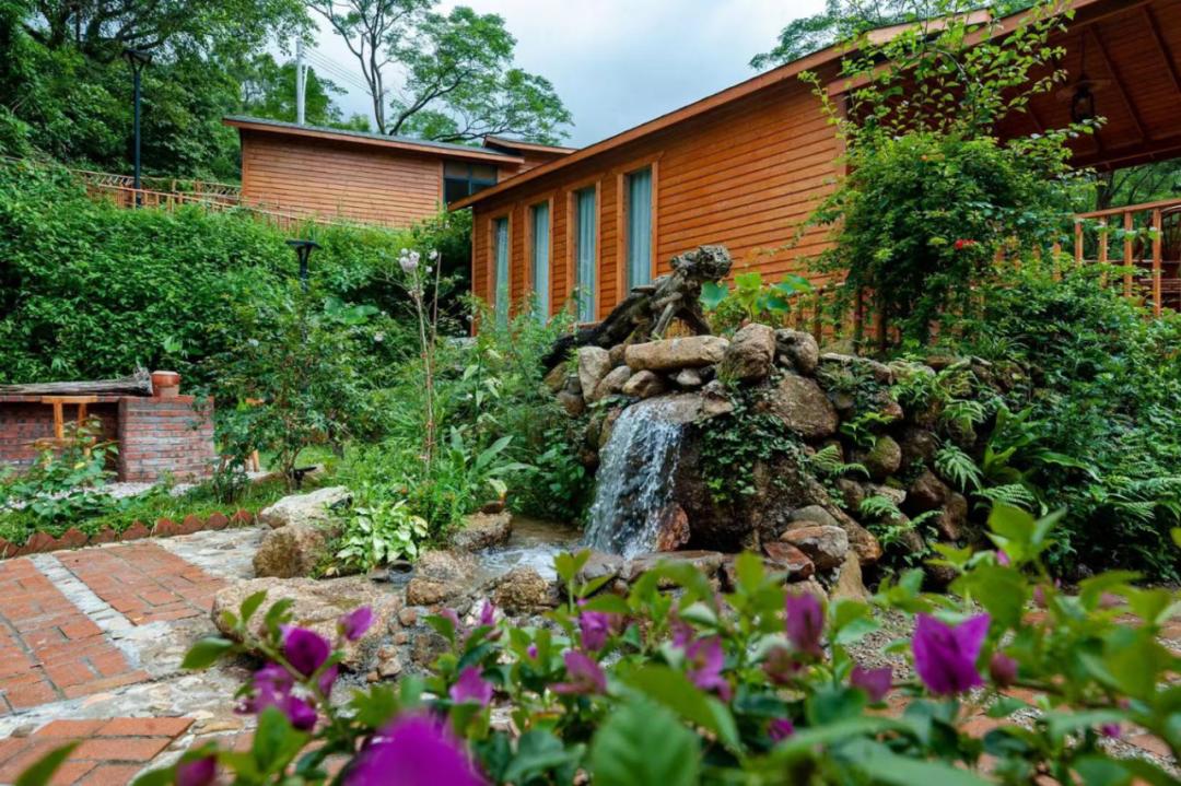 聚力"百千万工程" | "美丽庭院"拉满绿美"颜值","云赏"阳江诗意生活