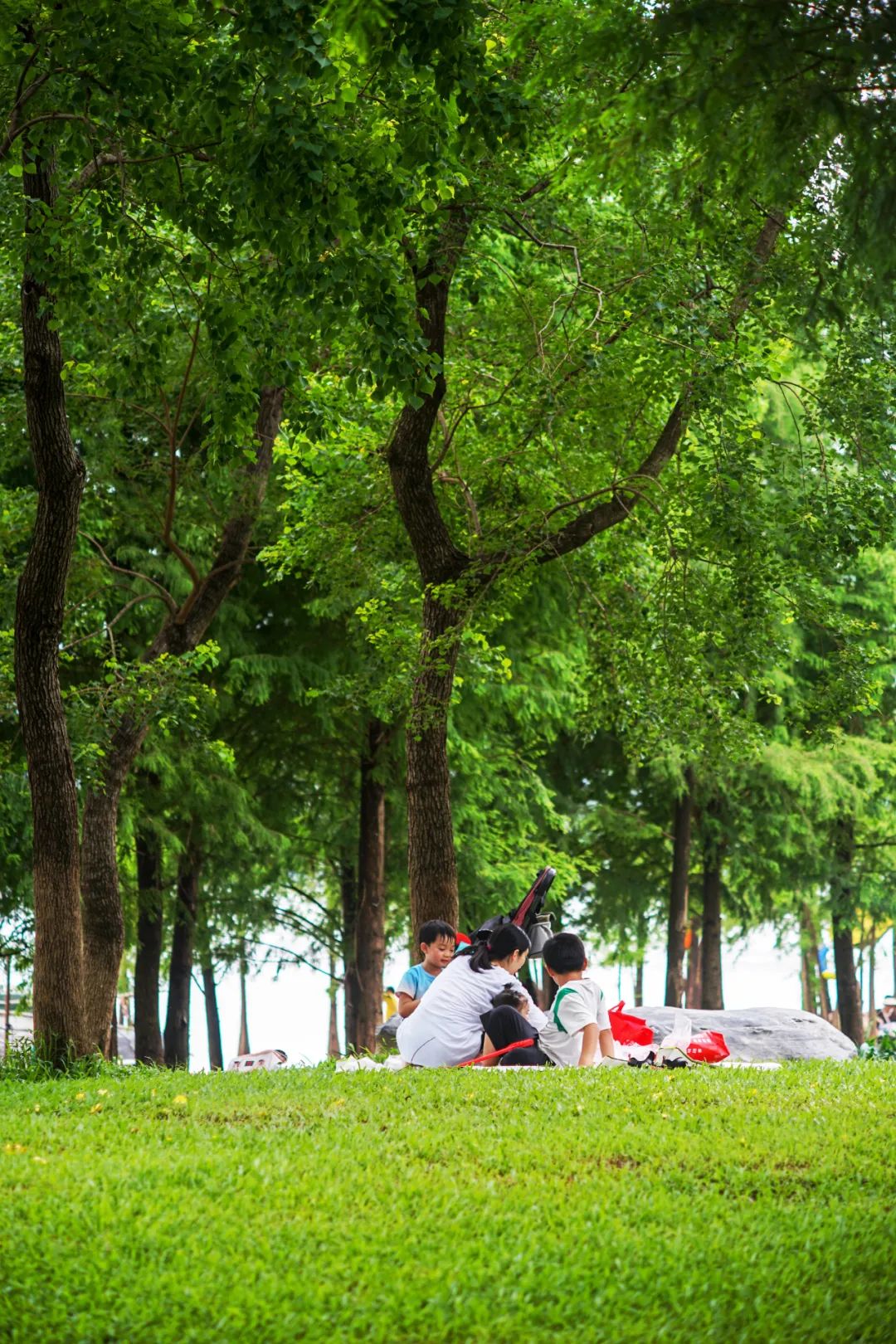 3天4亿!清远这些地方很热闹