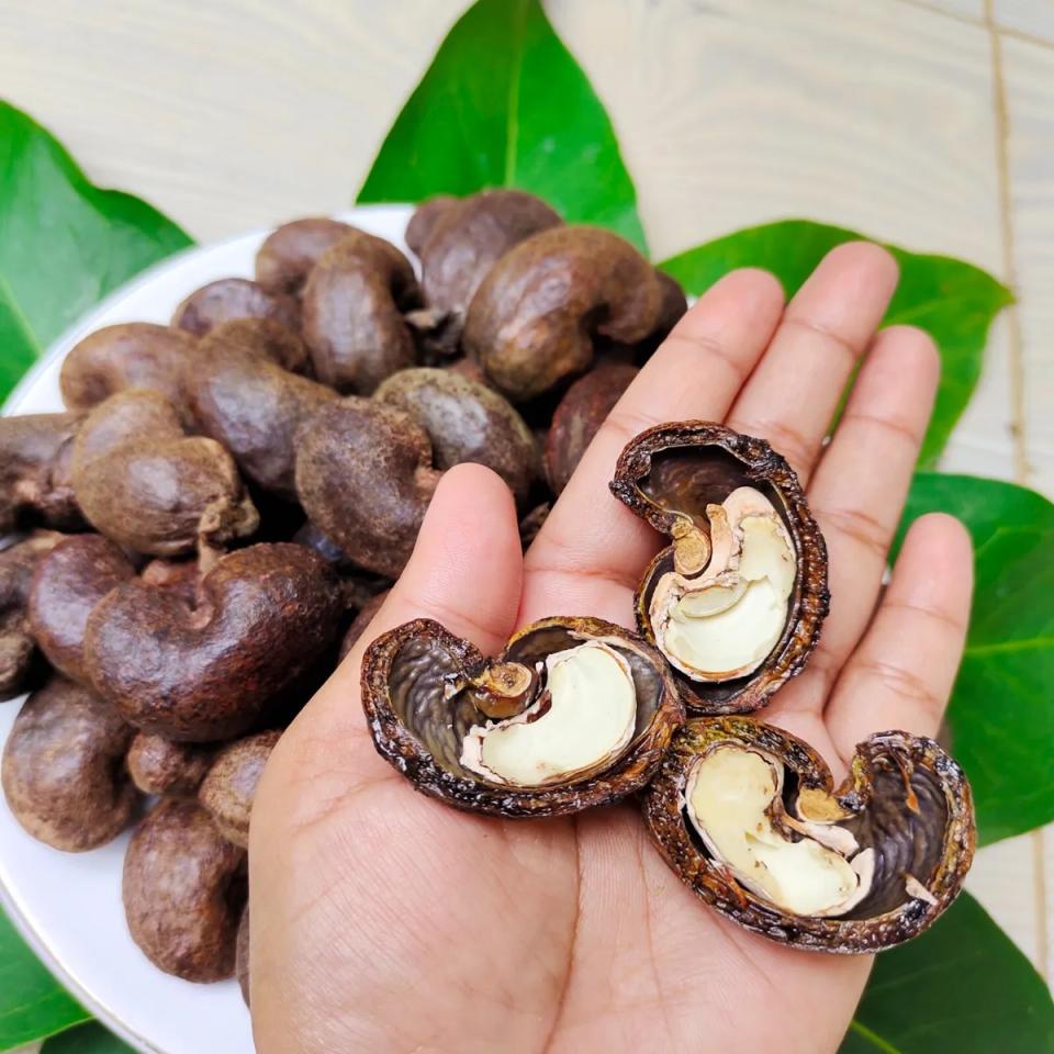 2层种皮都是有毒的,毒性成分主要是腰果酸和腰果酚,具有强腐蚀性,一旦