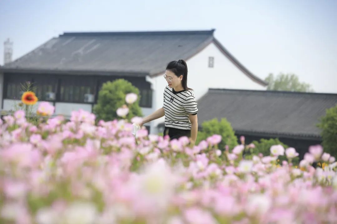 2023年,荆门花博园投入500万元,打造四季花海.