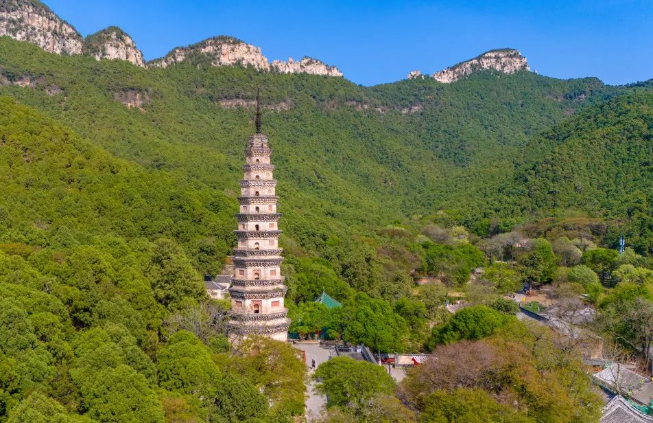 济南灵岩寺景区咨询电话:139-6901-4951 蒋德民活动时间:2024年6月1日