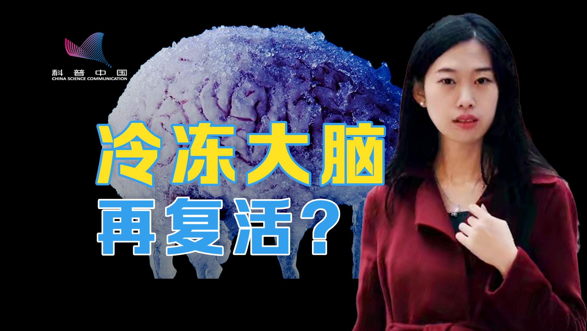 低温保存新突破:冷冻脑细胞18月后复活