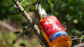 下一個主流酒飲，會是青梅酒嗎？