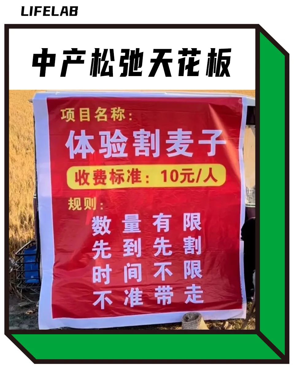 中产周末都在花钱种地?