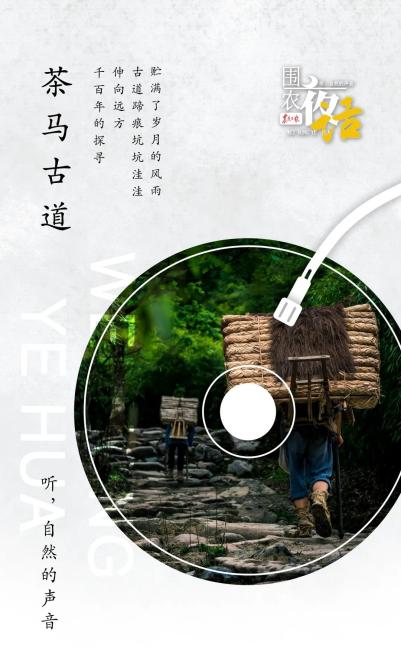围农夜话丨茶马古道