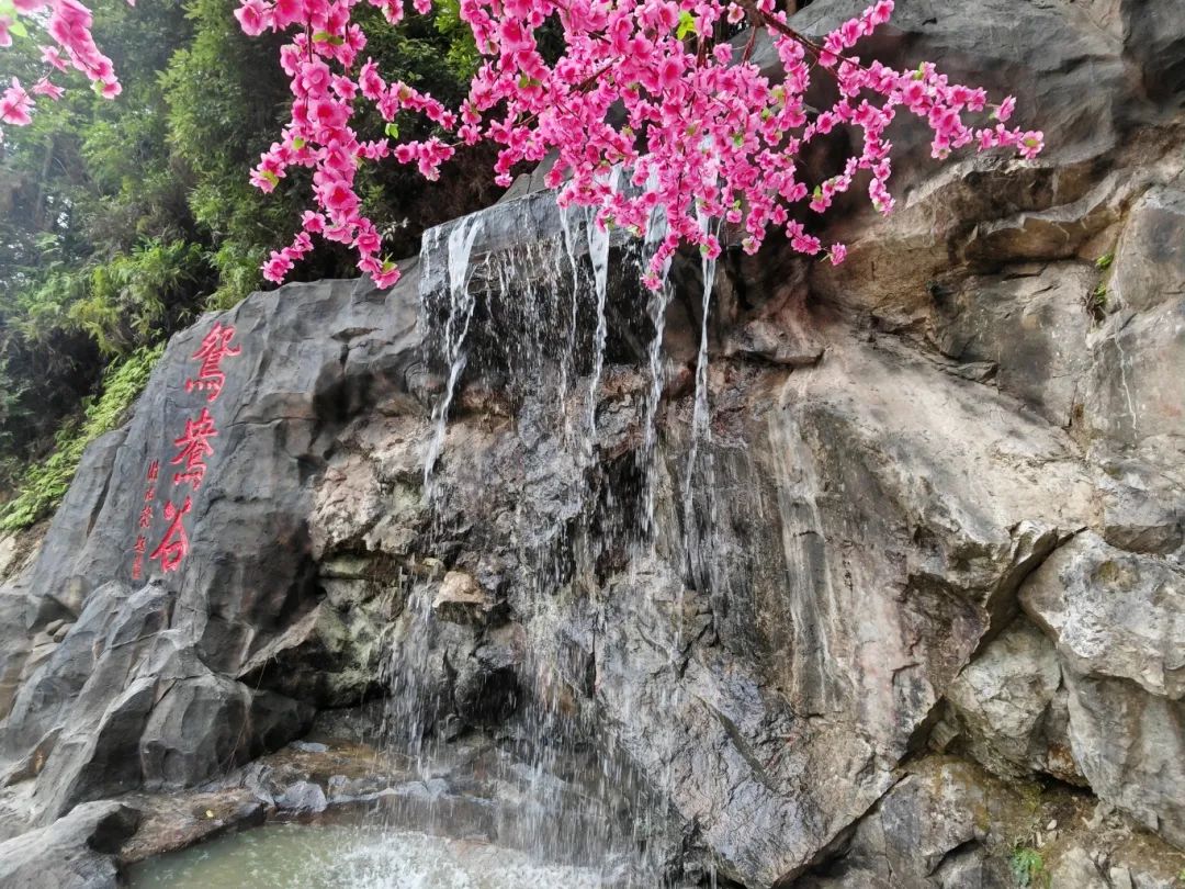 又美又甜 快来古田 | 大甲新评定的2a级旅游景区!一定要去!