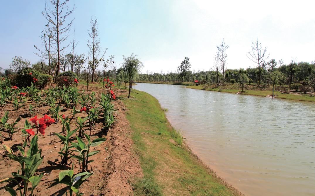 柳新·泗水河畔的明珠