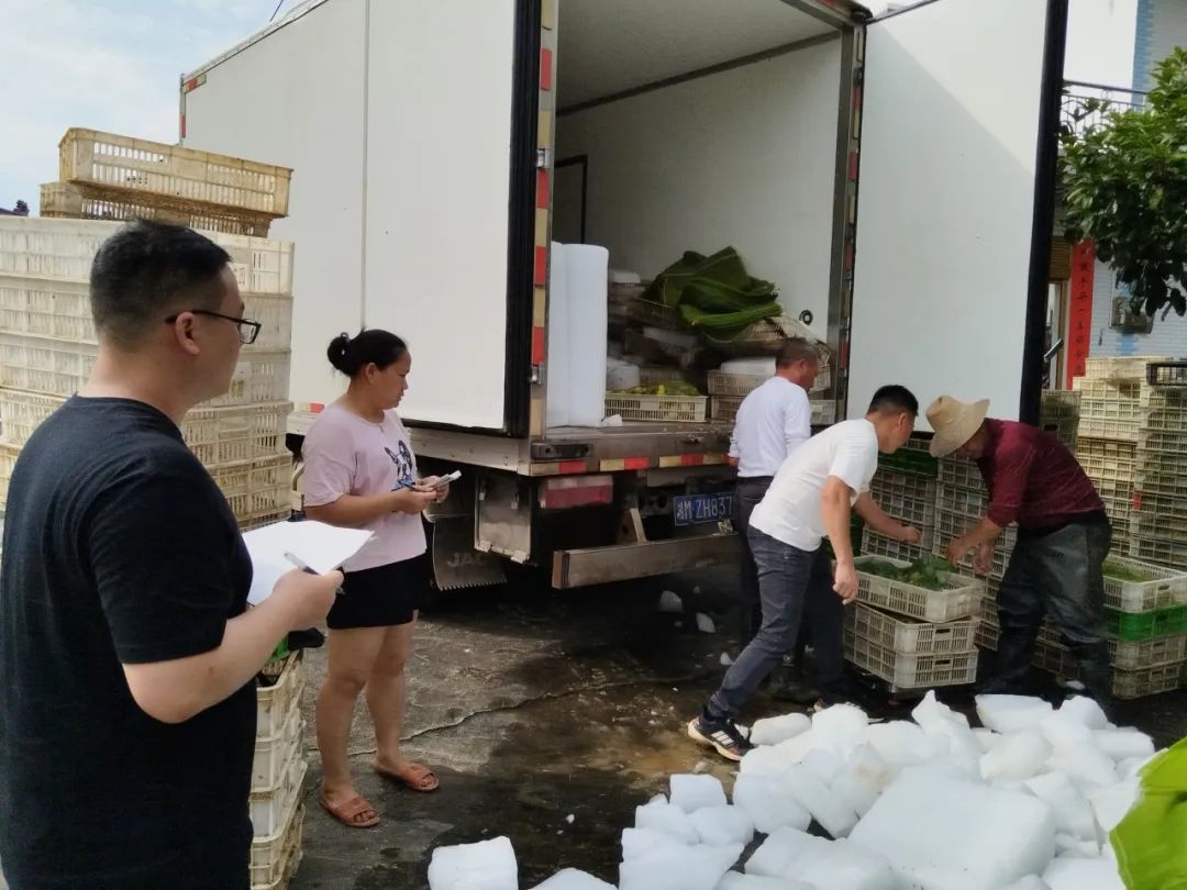 款不够,"蛙"来凑,攸县法院灵活执行巧办案