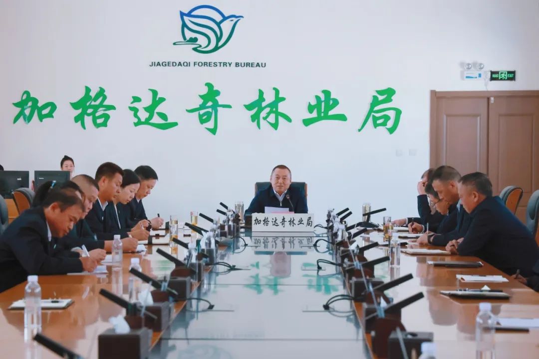 【加林要闻】加格达奇林业局深入落实大兴安岭林业集团公司2024年林长