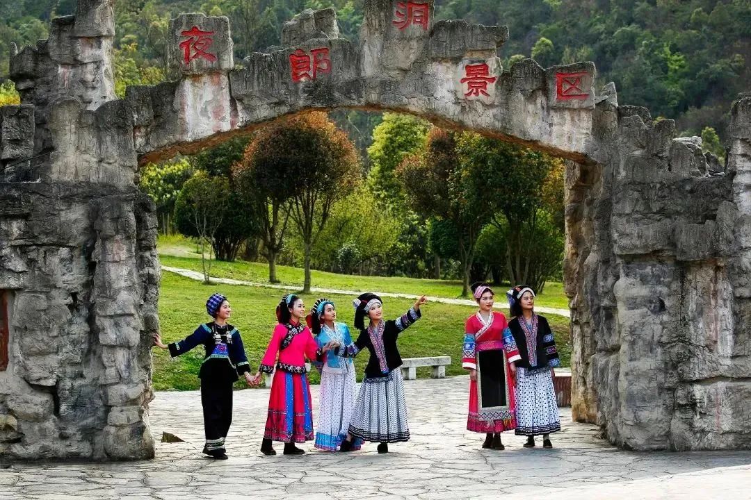 乡游黔中 | 镇宁县弄染村:六月限定,酸甜的味道"李"知道