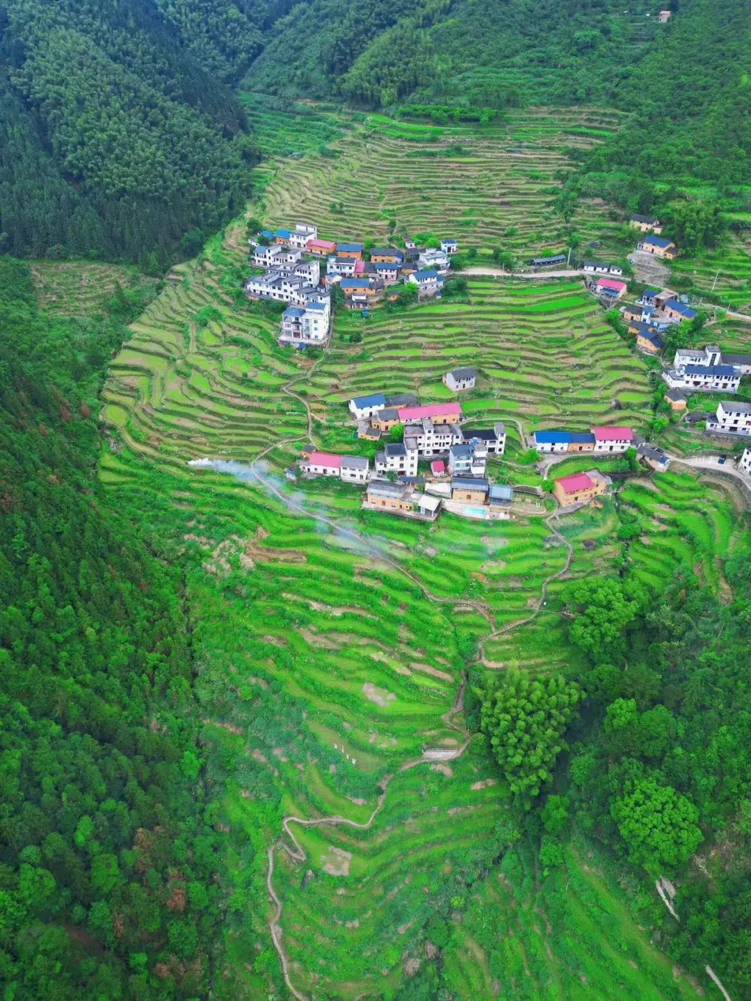 又挖到一座冷门避暑小城，文艺不输松阳，人少景美到哭