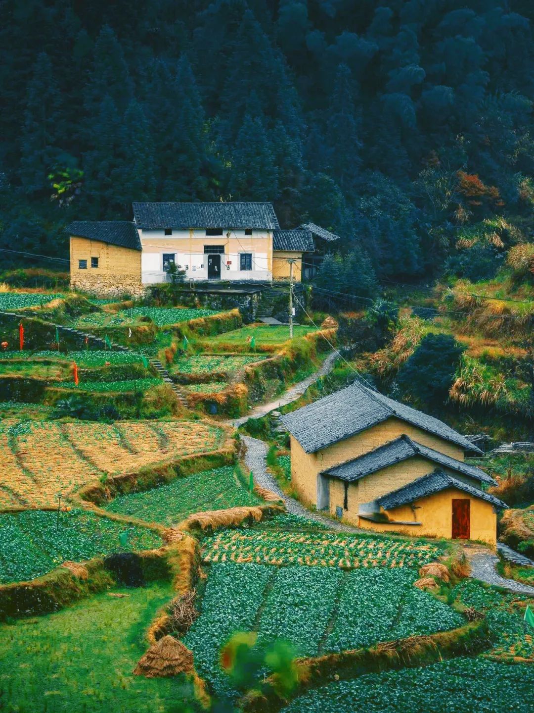 又挖到一座冷门避暑小城，文艺不输松阳，人少景美到哭