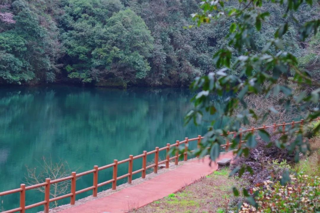 又挖到一座冷门避暑小城，文艺不输松阳，人少景美到哭