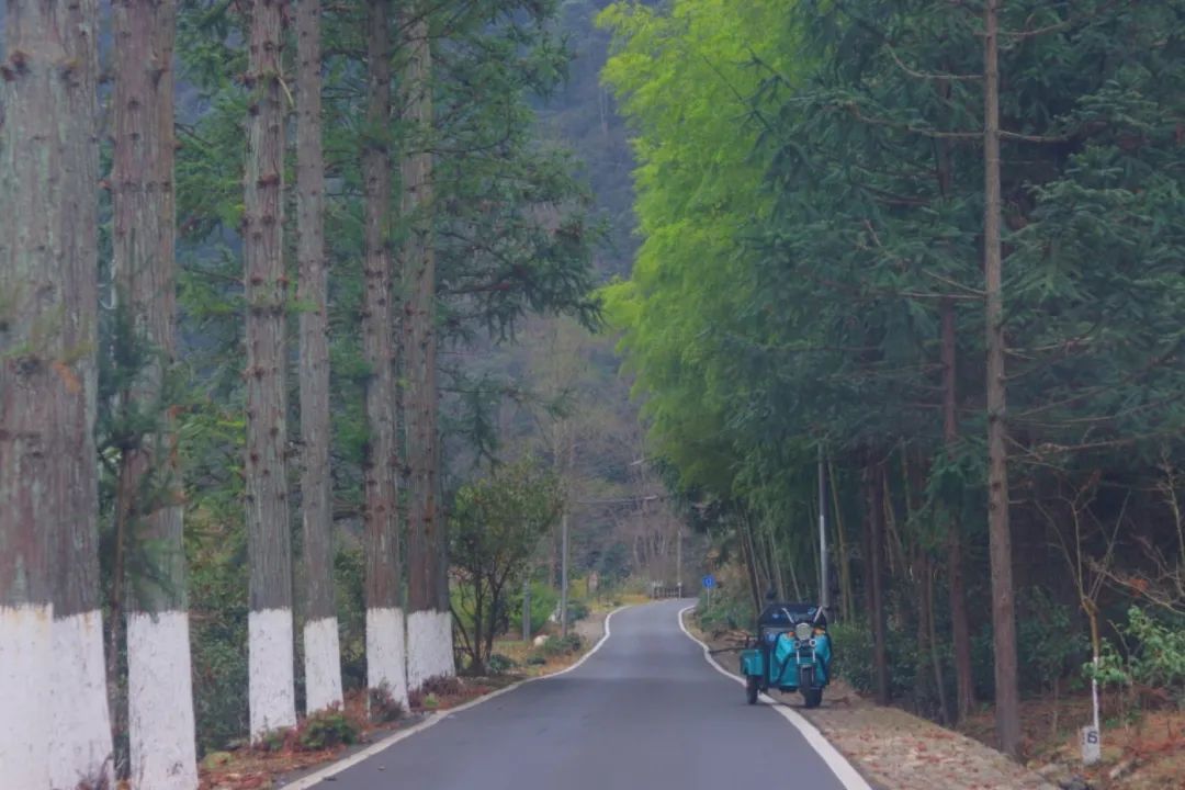 又挖到一座冷门避暑小城，文艺不输松阳，人少景美到哭