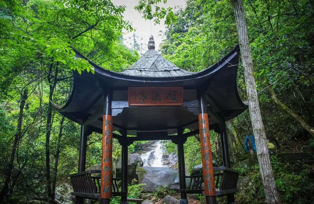 又挖到一座冷门避暑小城，文艺不输松阳，人少景美到哭