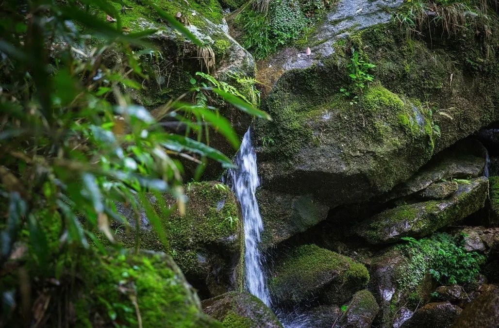 又挖到一座冷门避暑小城，文艺不输松阳，人少景美到哭