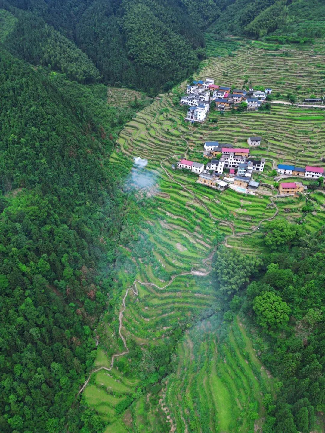 又挖到一座冷门避暑小城，文艺不输松阳，人少景美到哭
