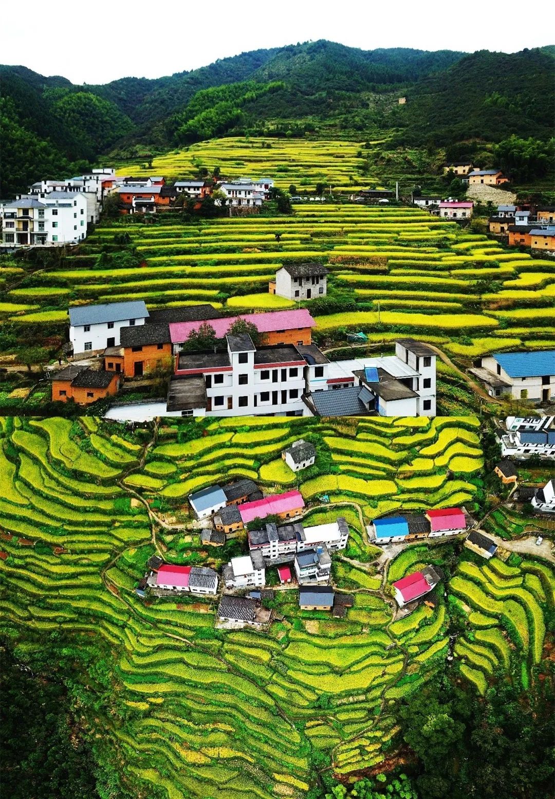 又挖到一座冷门避暑小城，文艺不输松阳，人少景美到哭