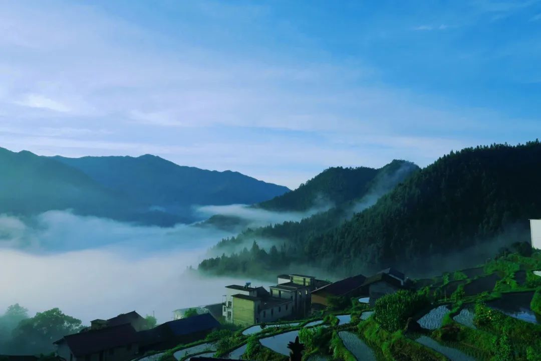 又挖到一座冷门避暑小城，文艺不输松阳，人少景美到哭