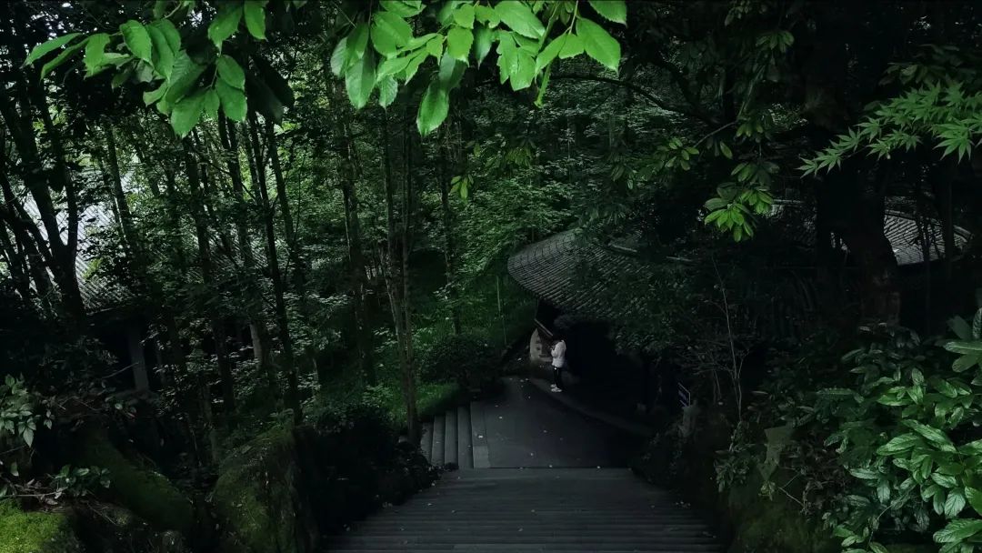 又挖到一座冷门避暑小城，文艺不输松阳，人少景美到哭