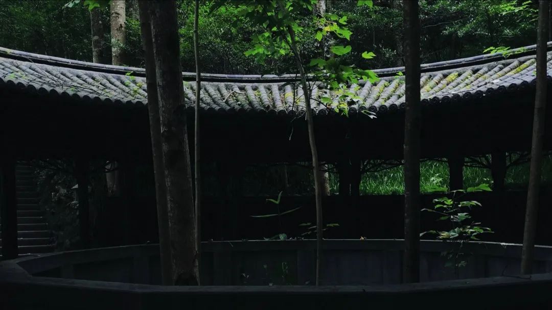 又挖到一座冷门避暑小城，文艺不输松阳，人少景美到哭